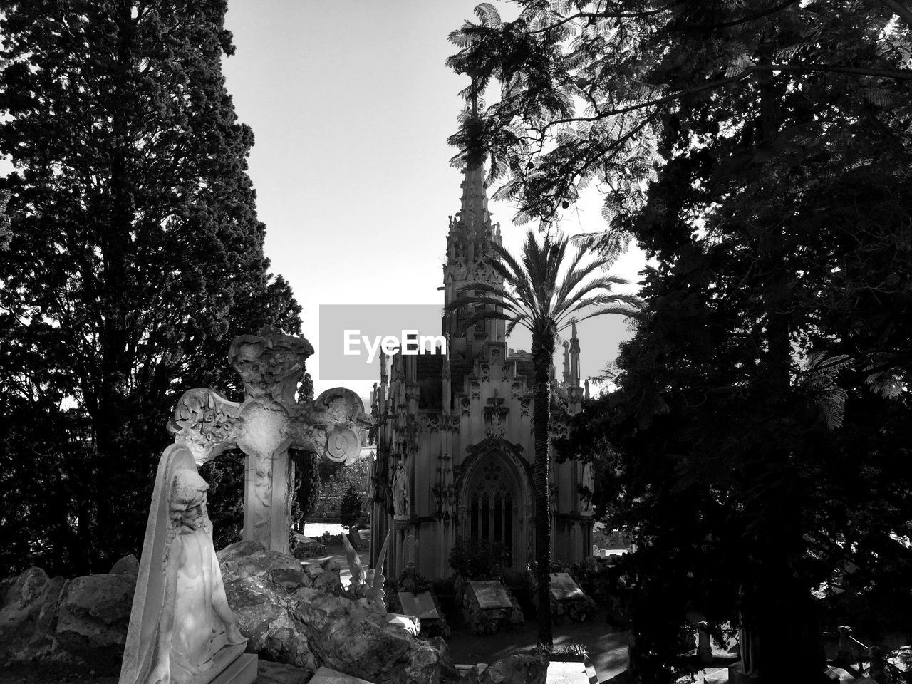 LOW ANGLE VIEW OF BUDDHA STATUE AGAINST TREES