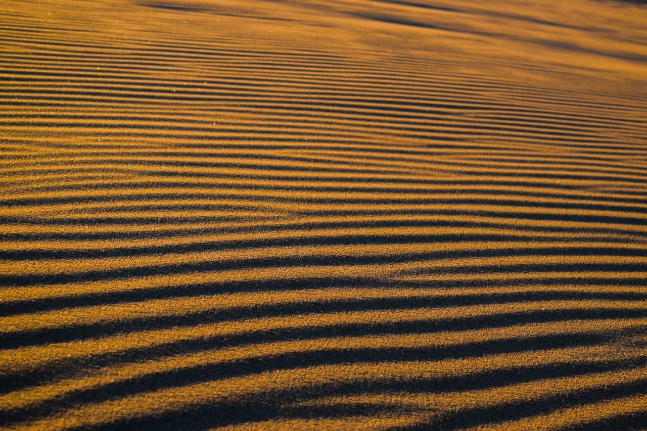 Full frame shot of yellow landscape