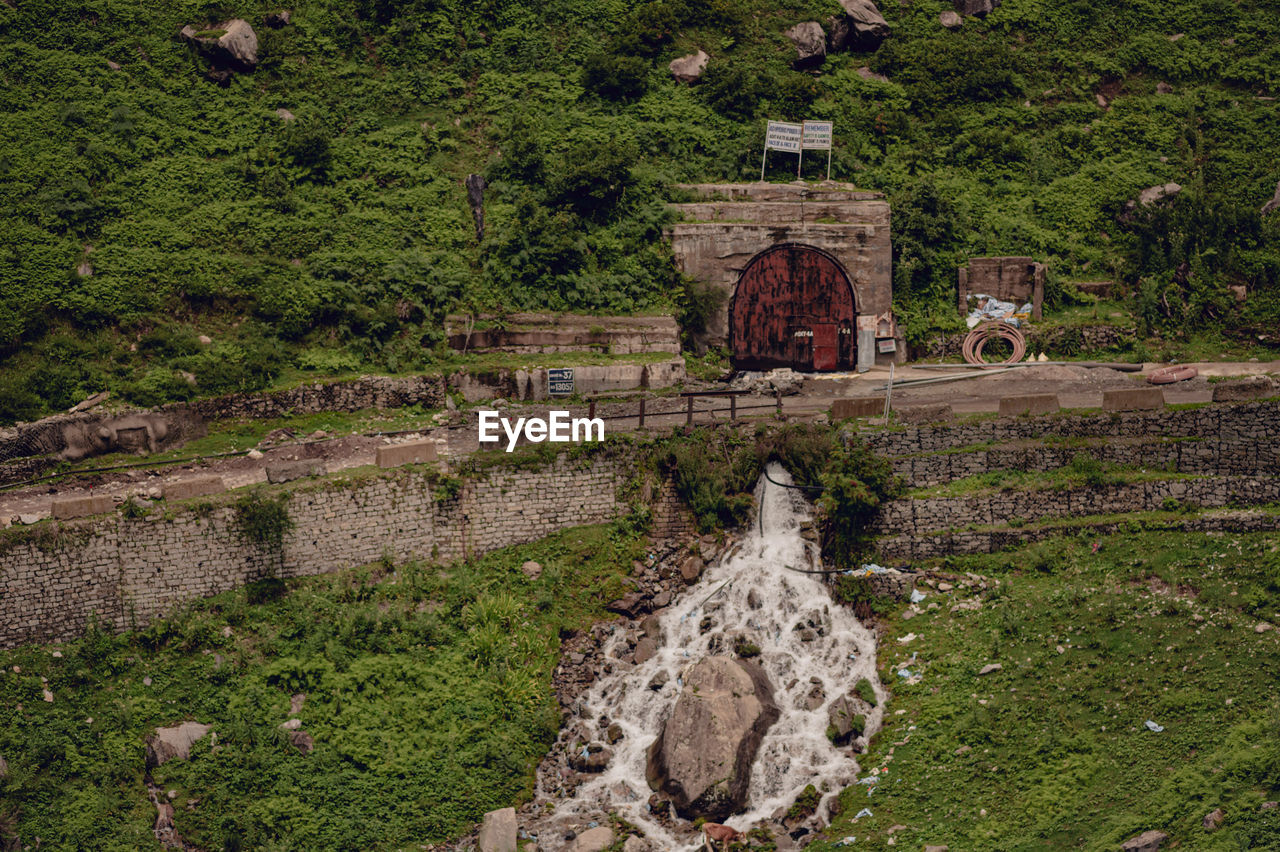 plant, architecture, nature, built structure, no people, tree, rural area, day, ruins, green, land, growth, history, outdoors, religion, high angle view, the past, building exterior, grass, landscape, tranquility, building, field, water, rock, belief, environment