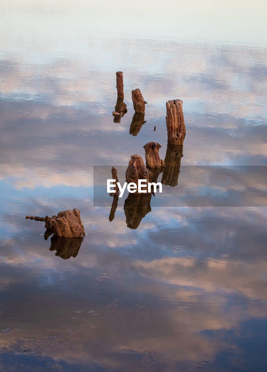 sky, reflection, cloud, nature, morning, flying, no people, outdoors, mid-air, day