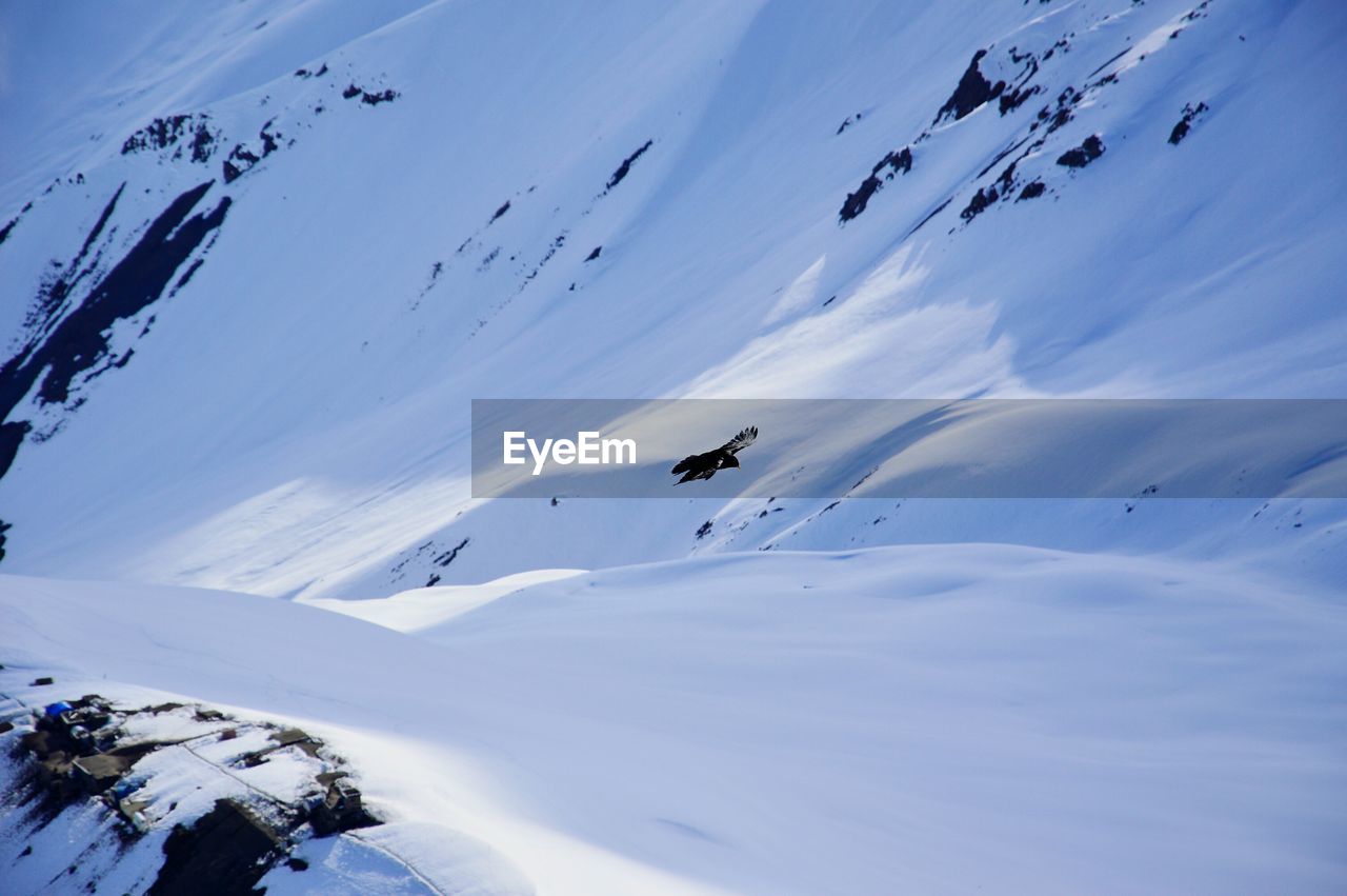 LOW ANGLE VIEW OF PERSON SKIING IN SNOW