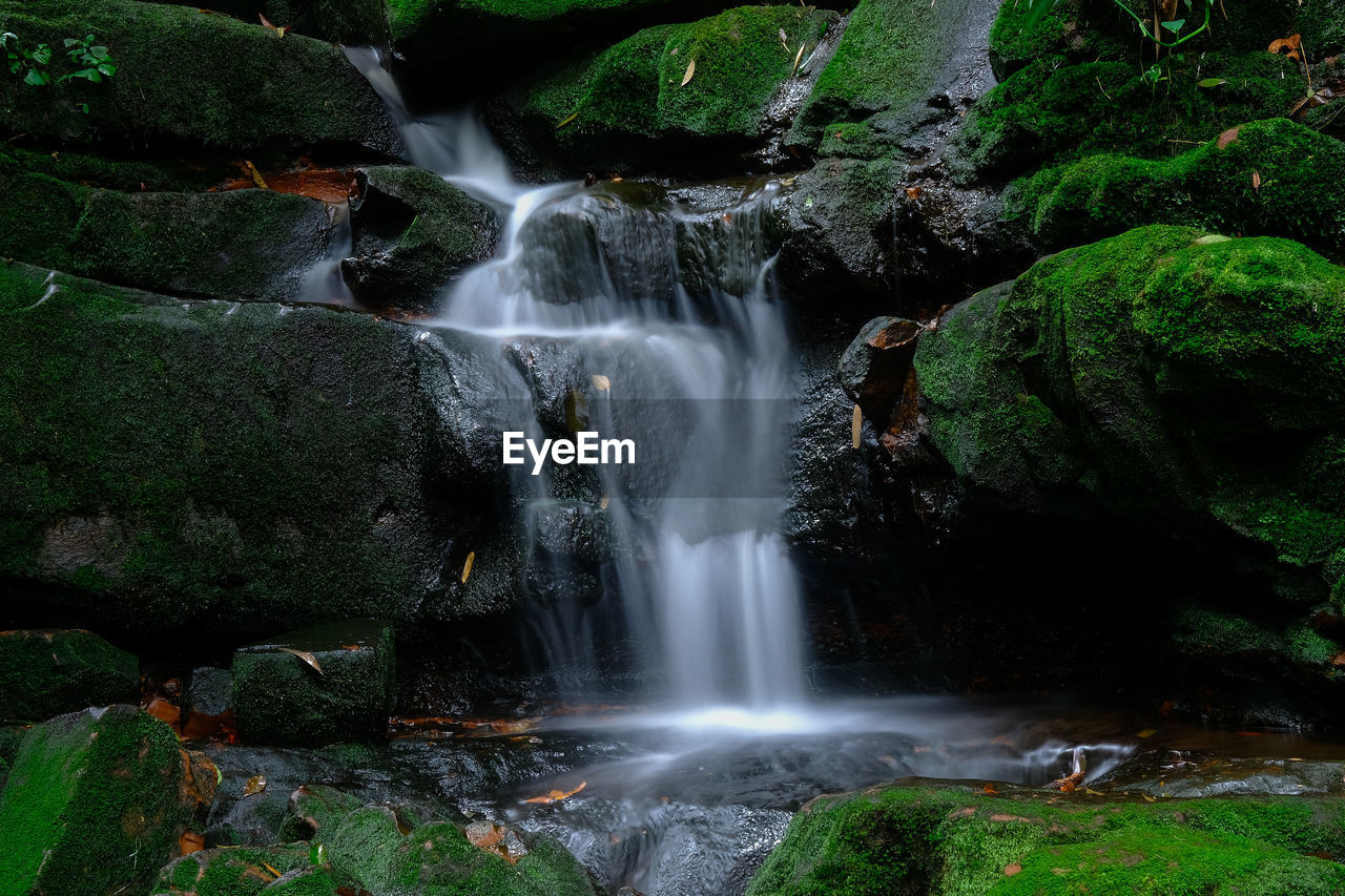 WATERFALL IN FOREST