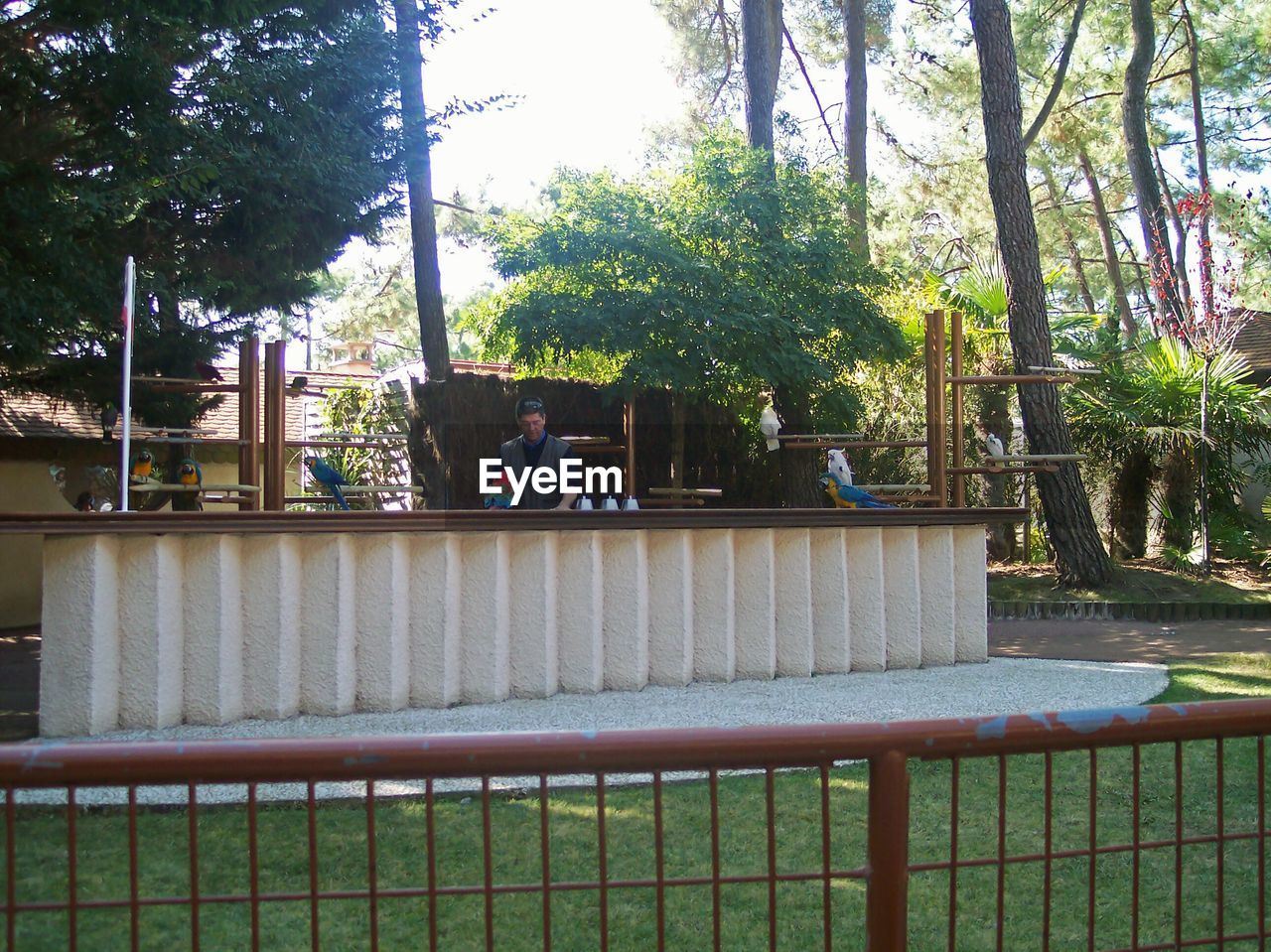 PEOPLE SITTING ON PARK BENCH BY TREES IN YARD