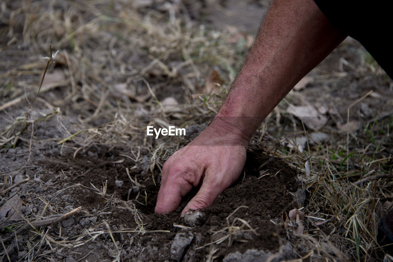 CLOSE-UP OF PERSON HAND ON FIELD