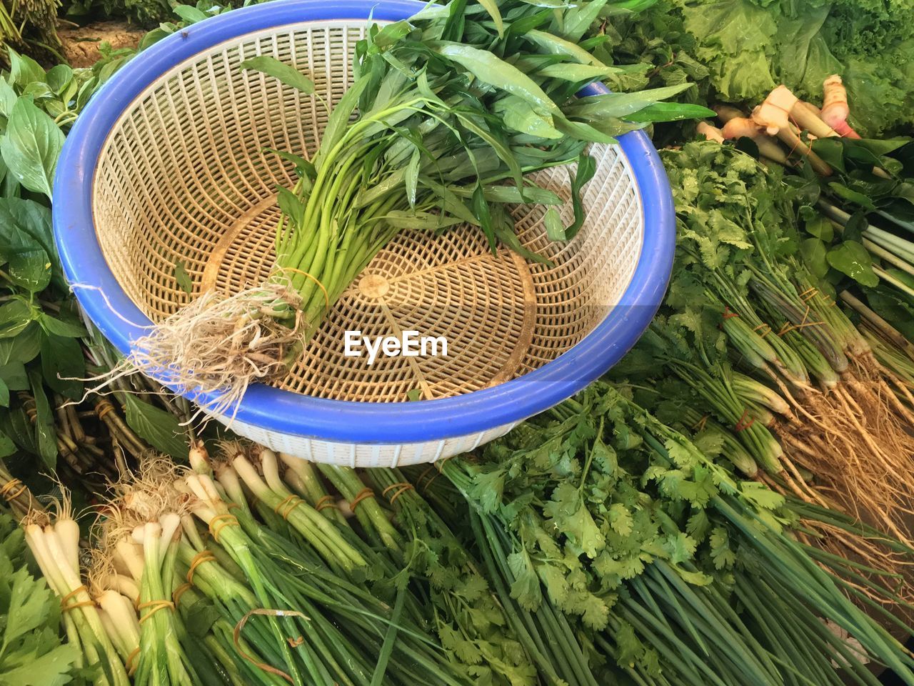 HIGH ANGLE VIEW OF FRESH VEGETABLES IN BASKET