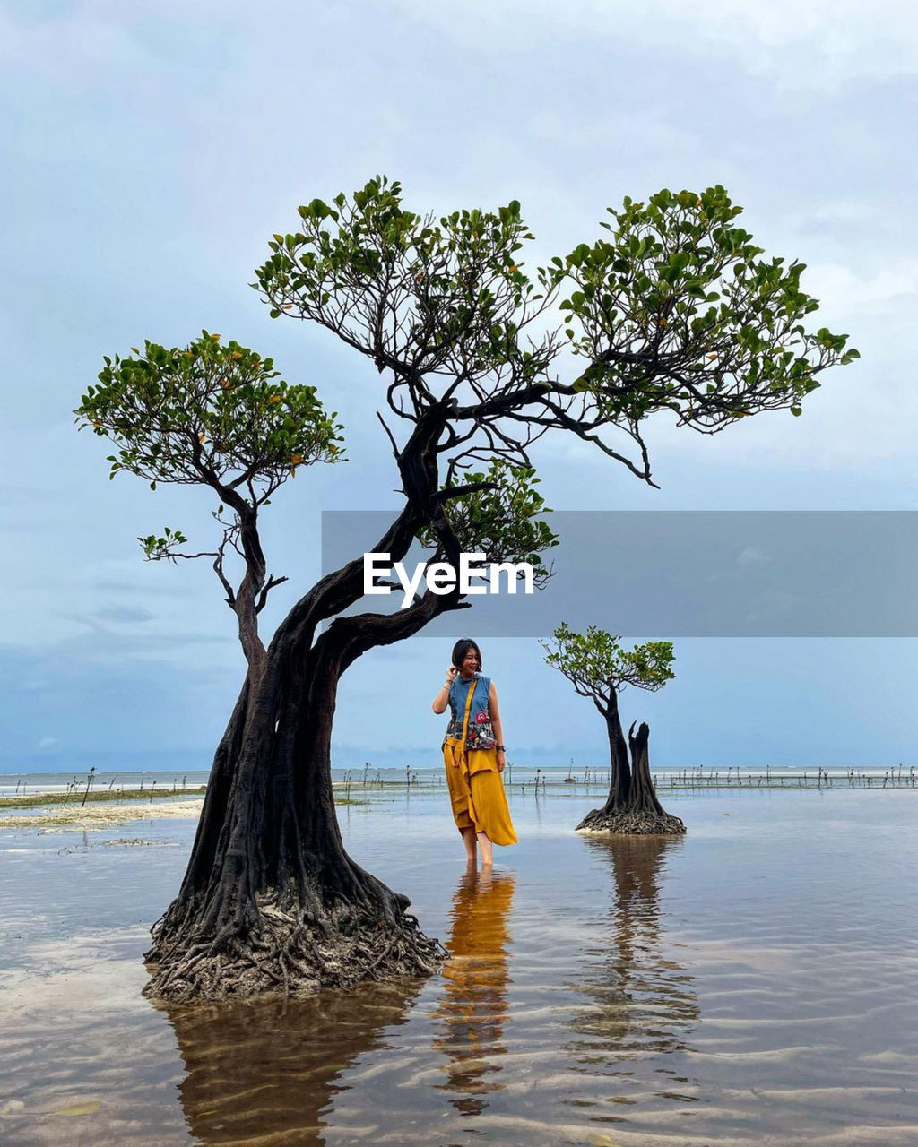 A woman standing near a tree that grows above the sea