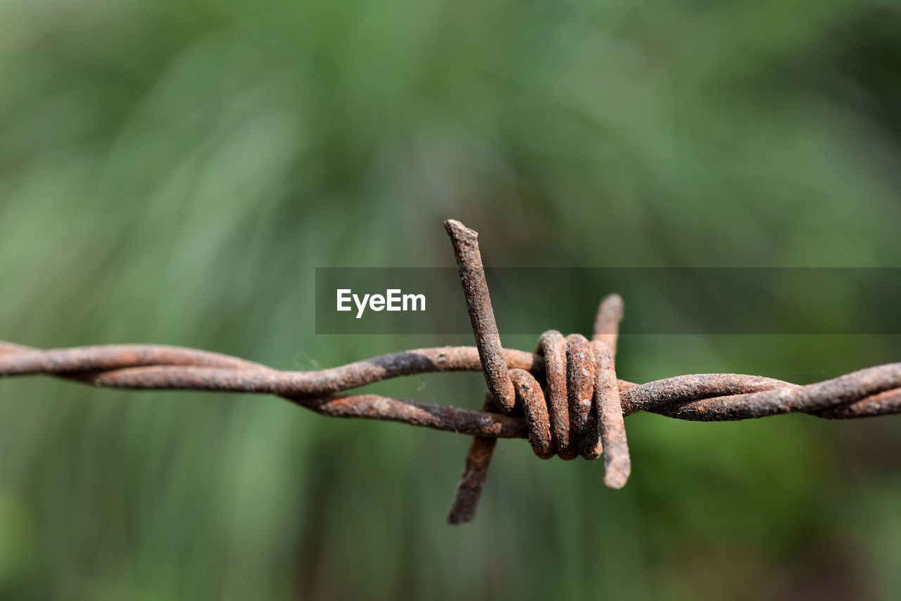 CLOSE-UP OF RUSTY BARBED WIRE