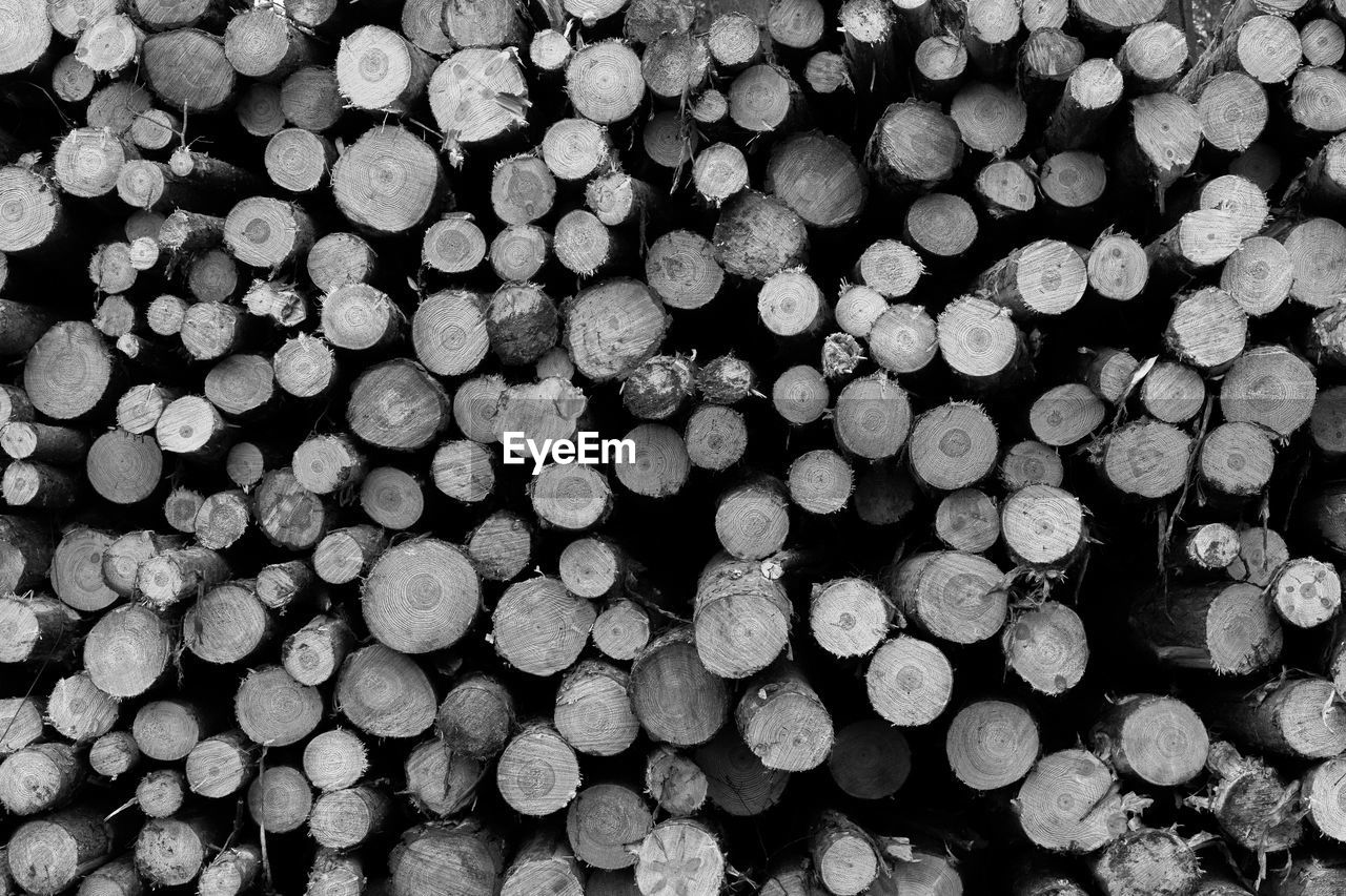 FULL FRAME SHOT OF FIREWOOD