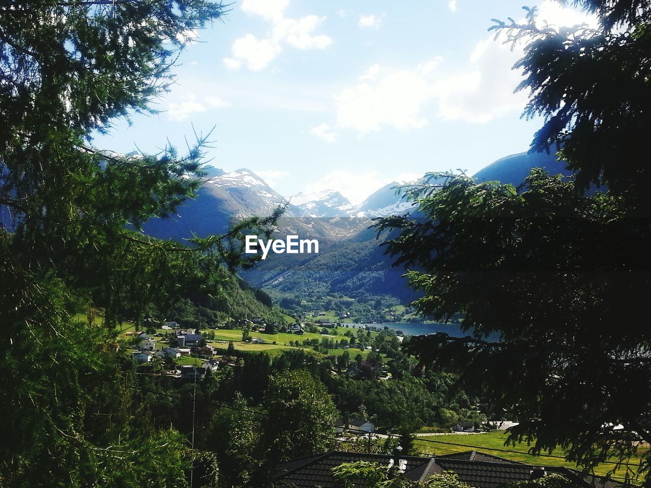 Trees growing on field by mountains against sky