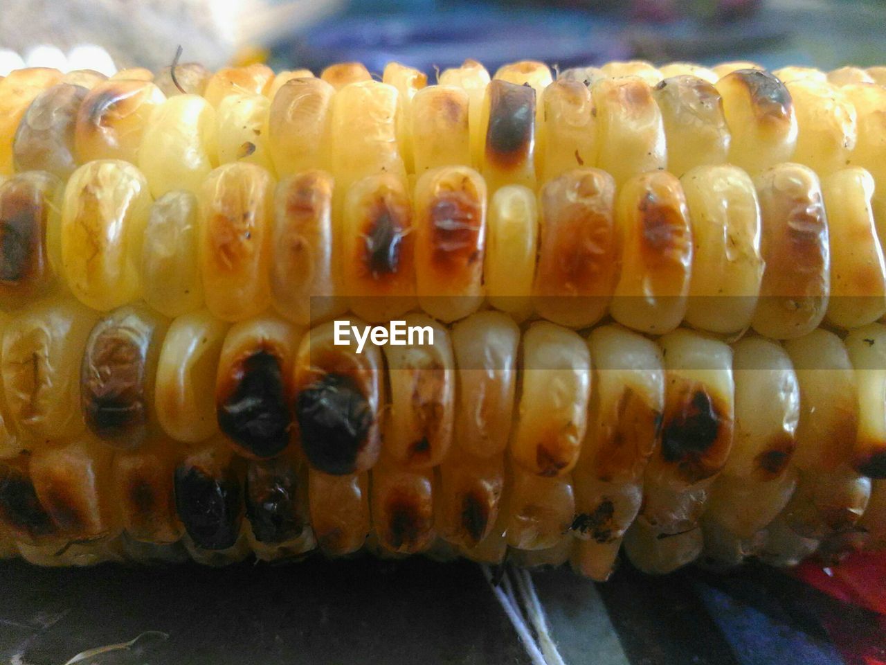 CLOSE-UP OF CATERPILLAR ON THE TABLE