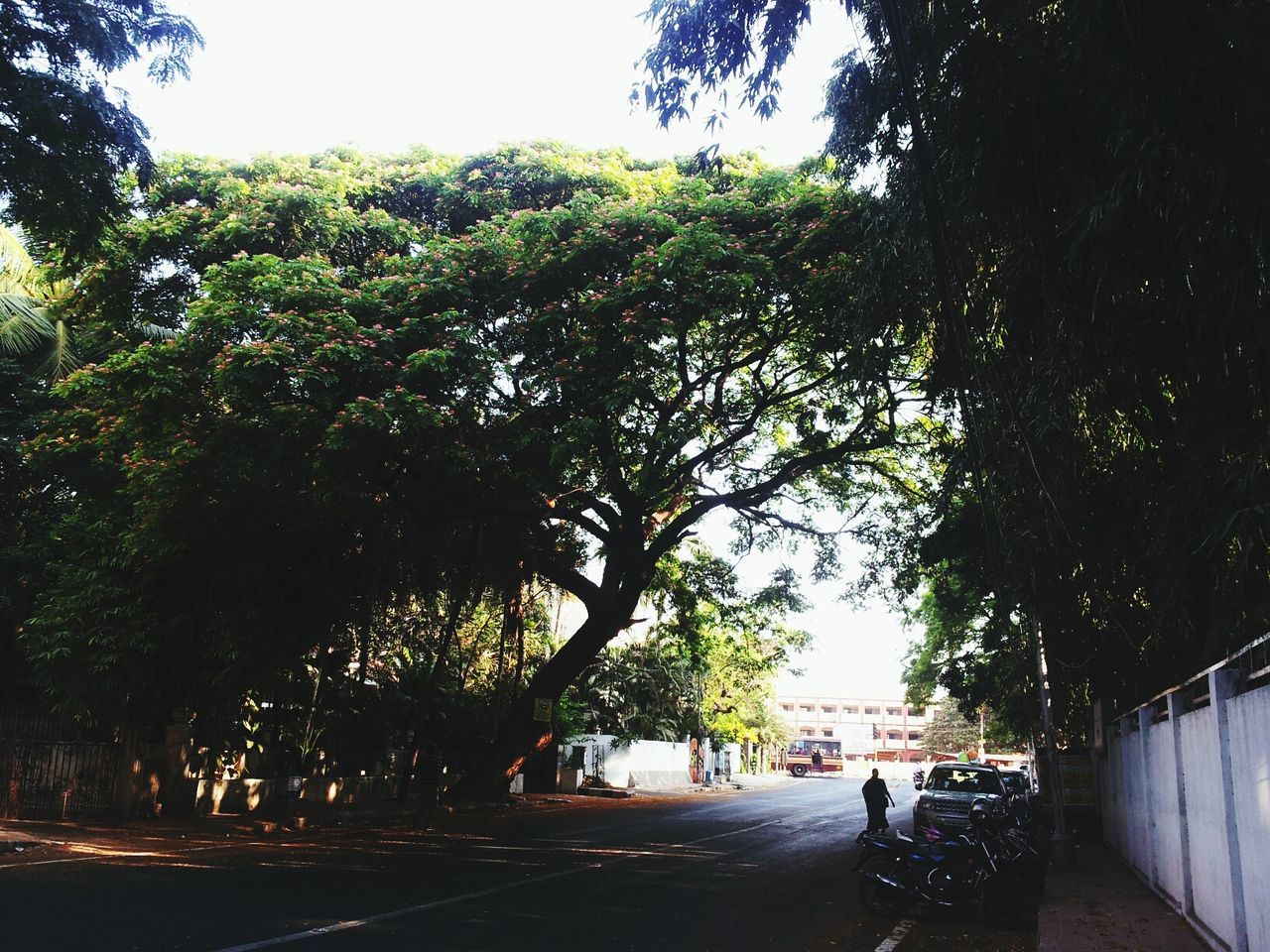 PERSON RIDING BICYCLE ON ROAD