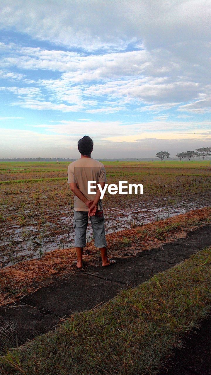 Rear view full length of man standing against agricultural landscape