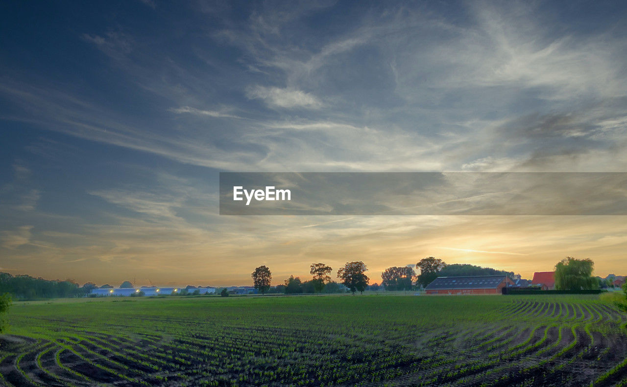 sky, landscape, environment, field, horizon, agriculture, land, rural scene, plant, cloud, nature, scenics - nature, crop, morning, beauty in nature, farm, tranquility, sunlight, food and drink, dawn, grass, growth, food, blue, plain, no people, tree, tranquil scene, sun, twilight, freshness, sunrise, summer, outdoors, flower, springtime, idyllic, green, cereal plant, rural area, multi colored, architecture, vegetable, dramatic sky, social issues, travel, hill, environmental conservation, in a row, non-urban scene, sunbeam, meadow, building, backgrounds