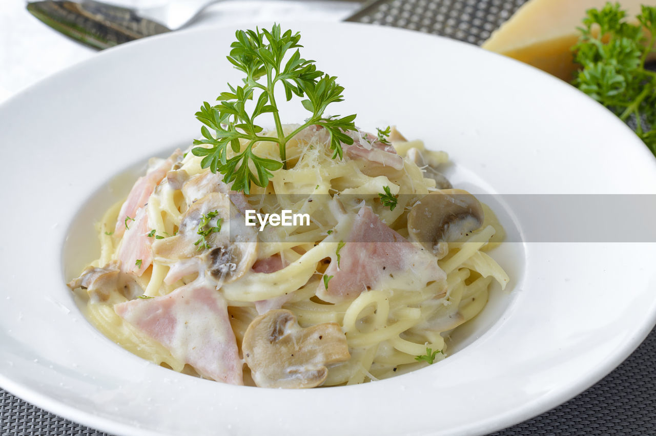 Close-up of spaghetti with cheese and meat in plate