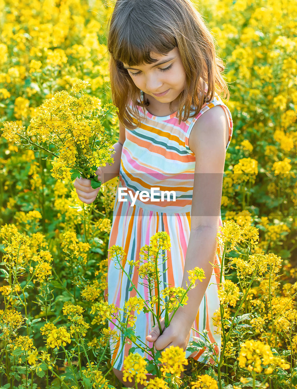 young woman standing amidst yellow flowering plants on field