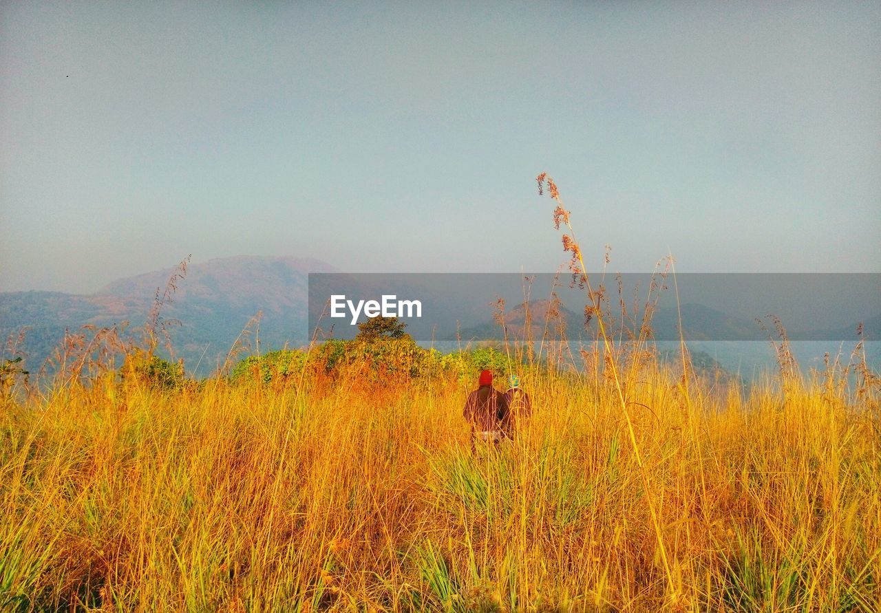 SCENIC VIEW OF LAND AGAINST SKY