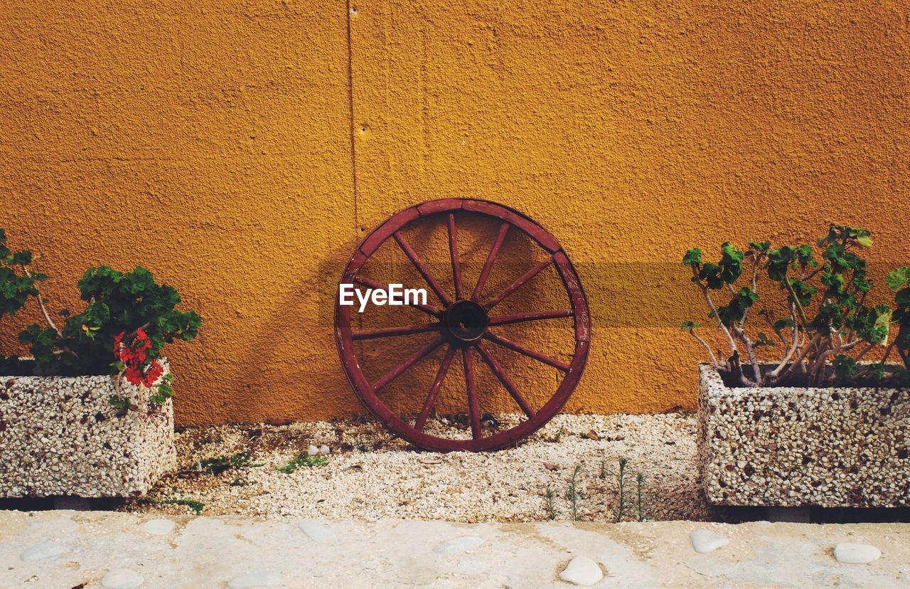 Wheel amidst flower pot against orange wall