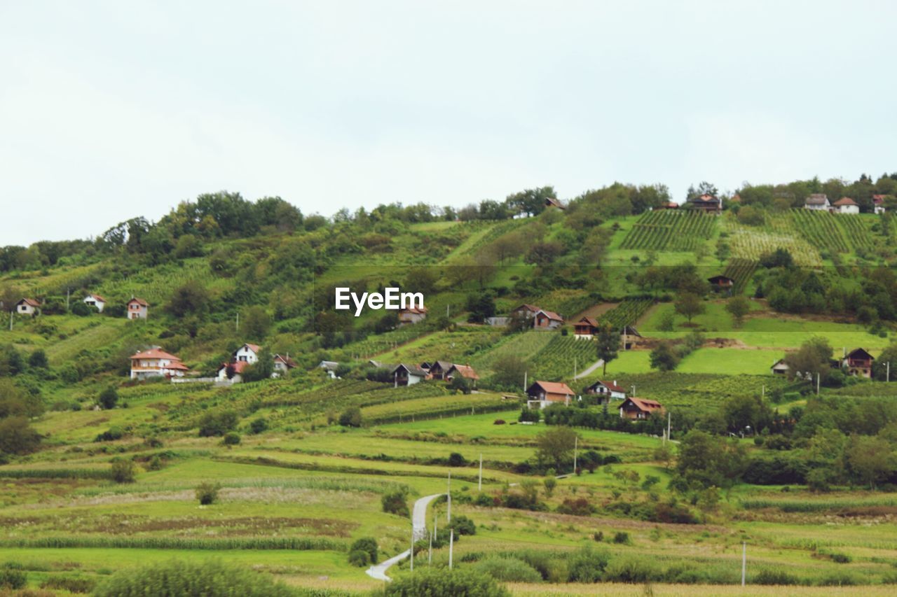 View of agricultural landscape against clear sky