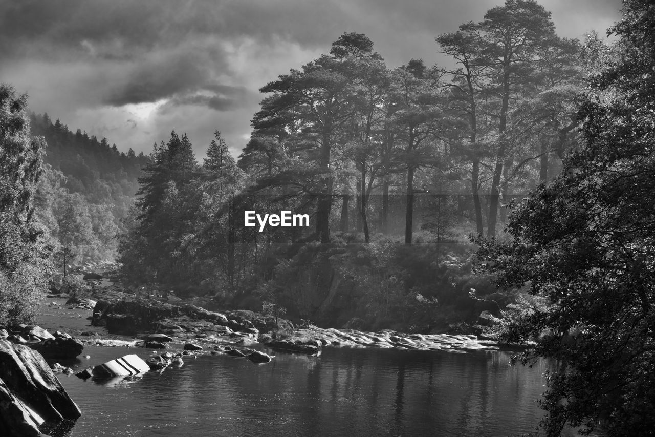 Scenic view of lake in forest against sky