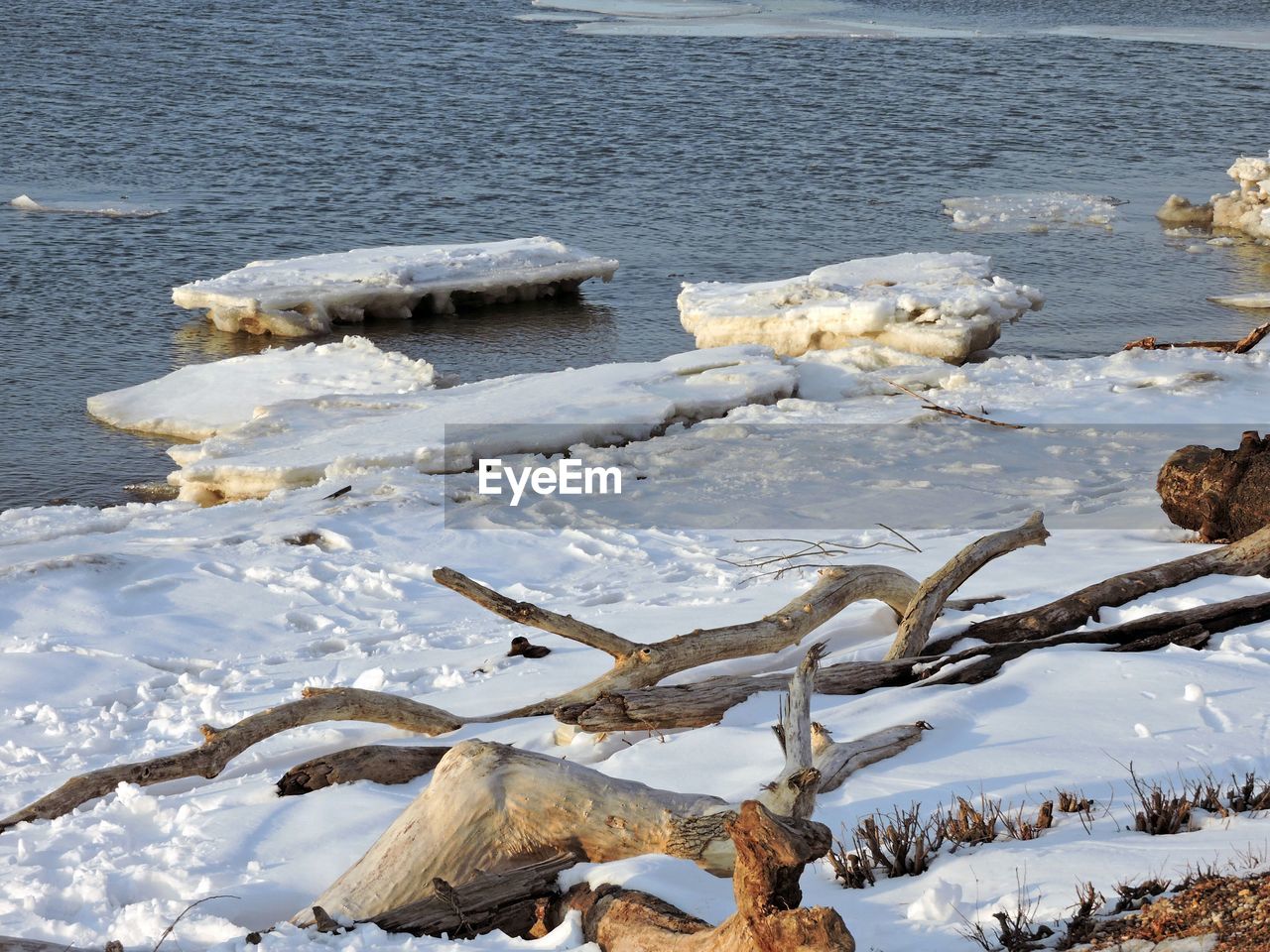 High angle view of driftwood on frozen lakeshore