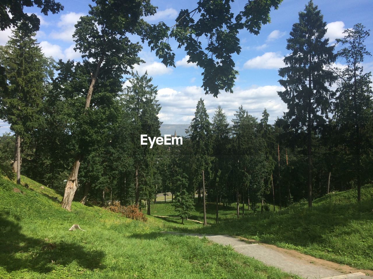 TREES GROWING ON FIELD