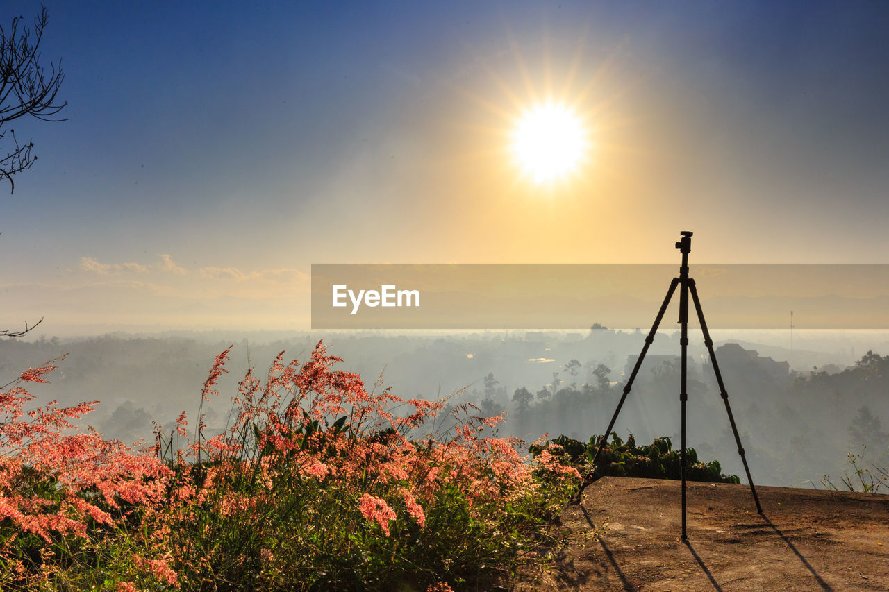 Tripod by grass on hill during foggy weather