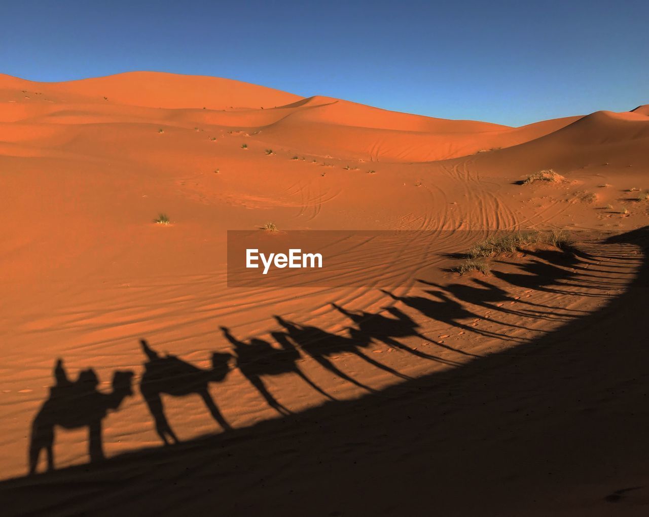 SCENIC VIEW OF DESERT AGAINST SKY