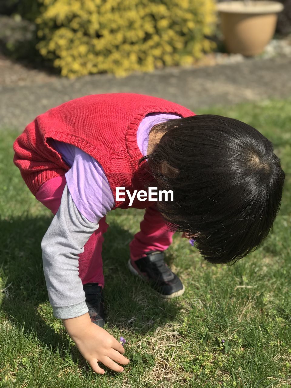 Portrait of cute girl picking flowers 