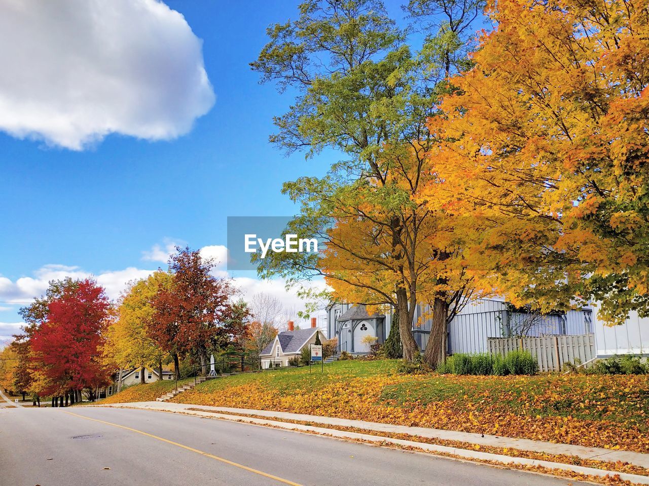 Trees by road against sky during autumn