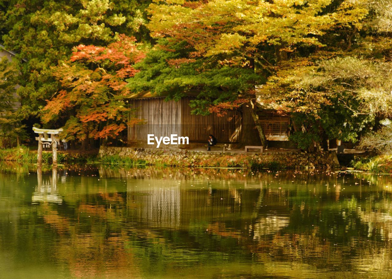 Lake by trees during autumn