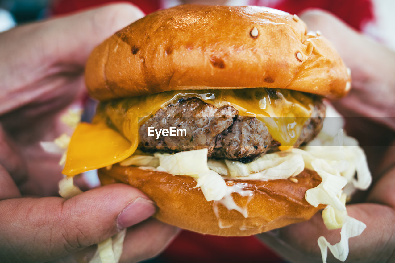 food and drink, food, fast food, hamburger, sandwich, unhealthy eating, hand, meat, dish, bread, cheese, meal, bun, slider, veggie burger, one person, take out food, holding, dairy, freshness, close-up, vegetable, beef, red meat, snack, condiment, processed meat, junk food