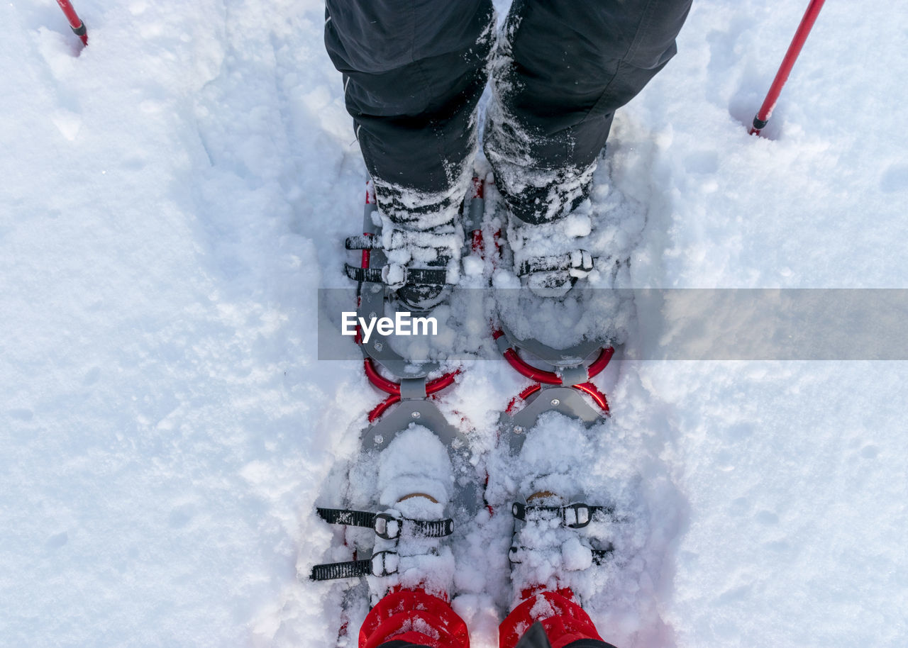 Low section of person on snow covered field