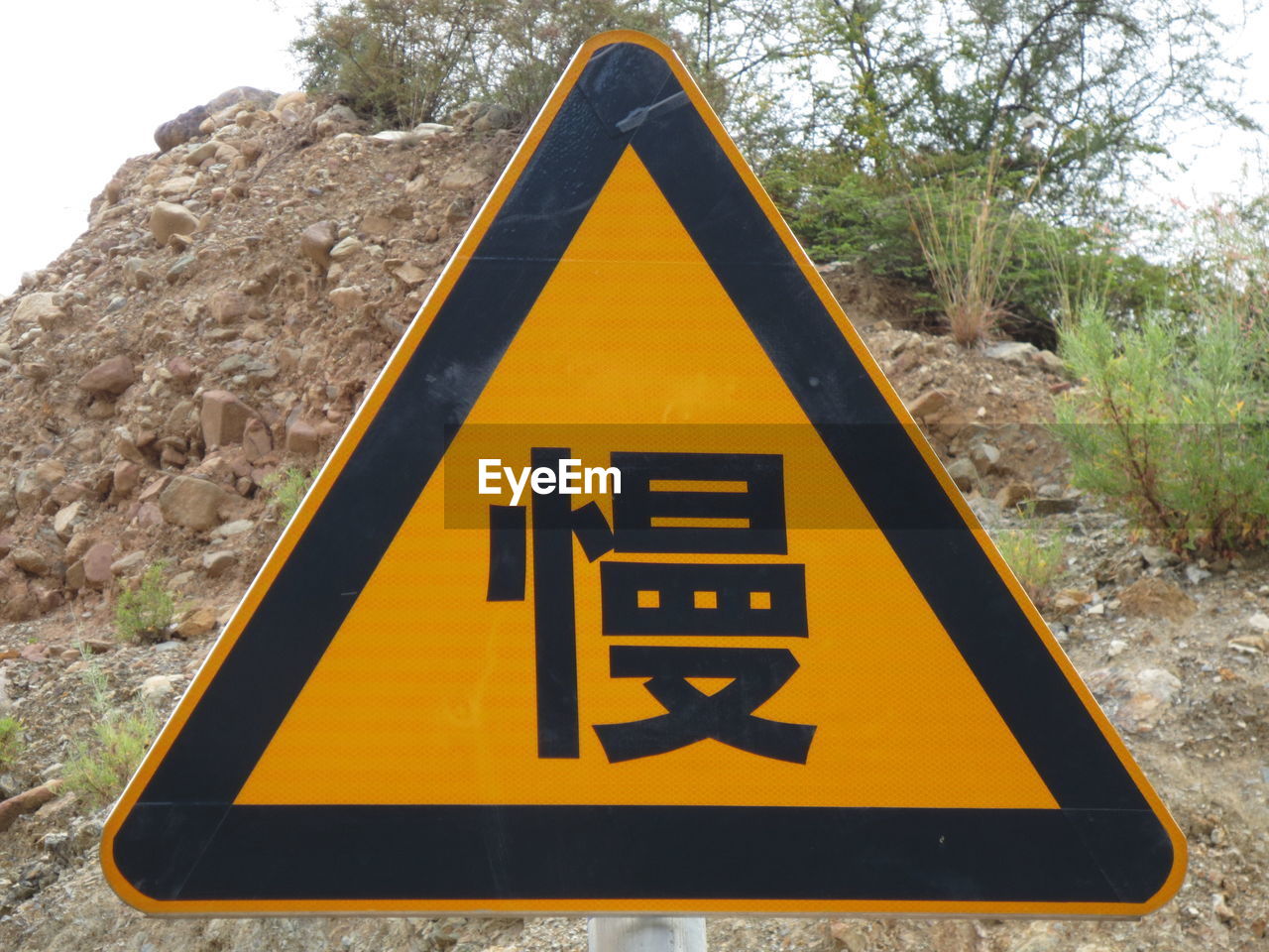 CLOSE-UP OF ROAD SIGN AGAINST TREE