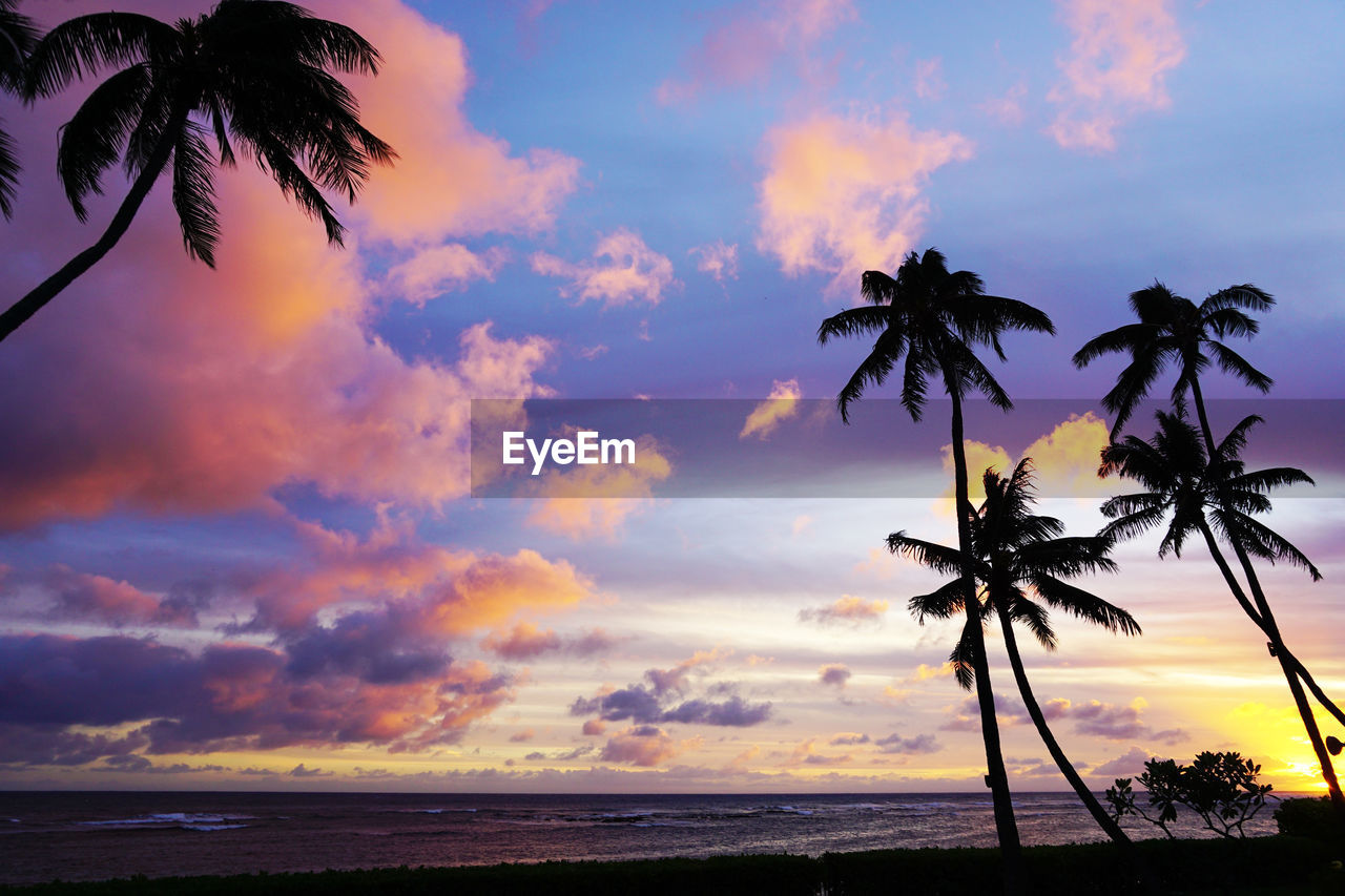 Silhouette palm tree by sea against dramatic sky