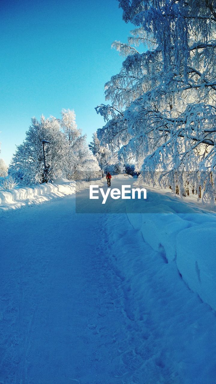 PERSON ON SNOW COVERED LANDSCAPE