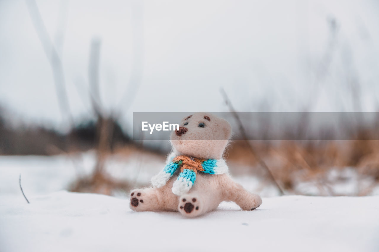 A toy polar bear in a scarf sits on the snowy winter field and looks up waiting for the spring