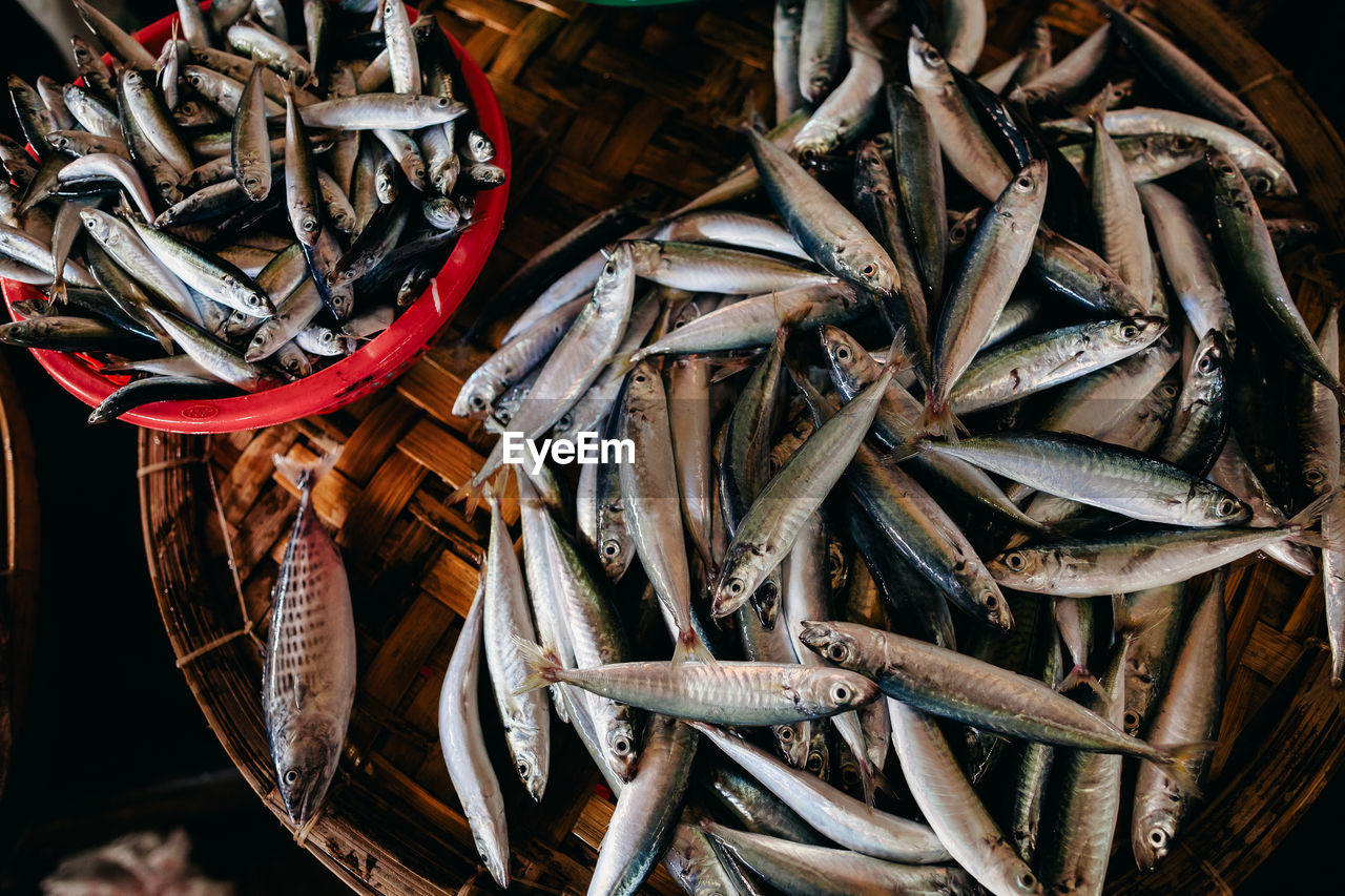 Fish for sale at market