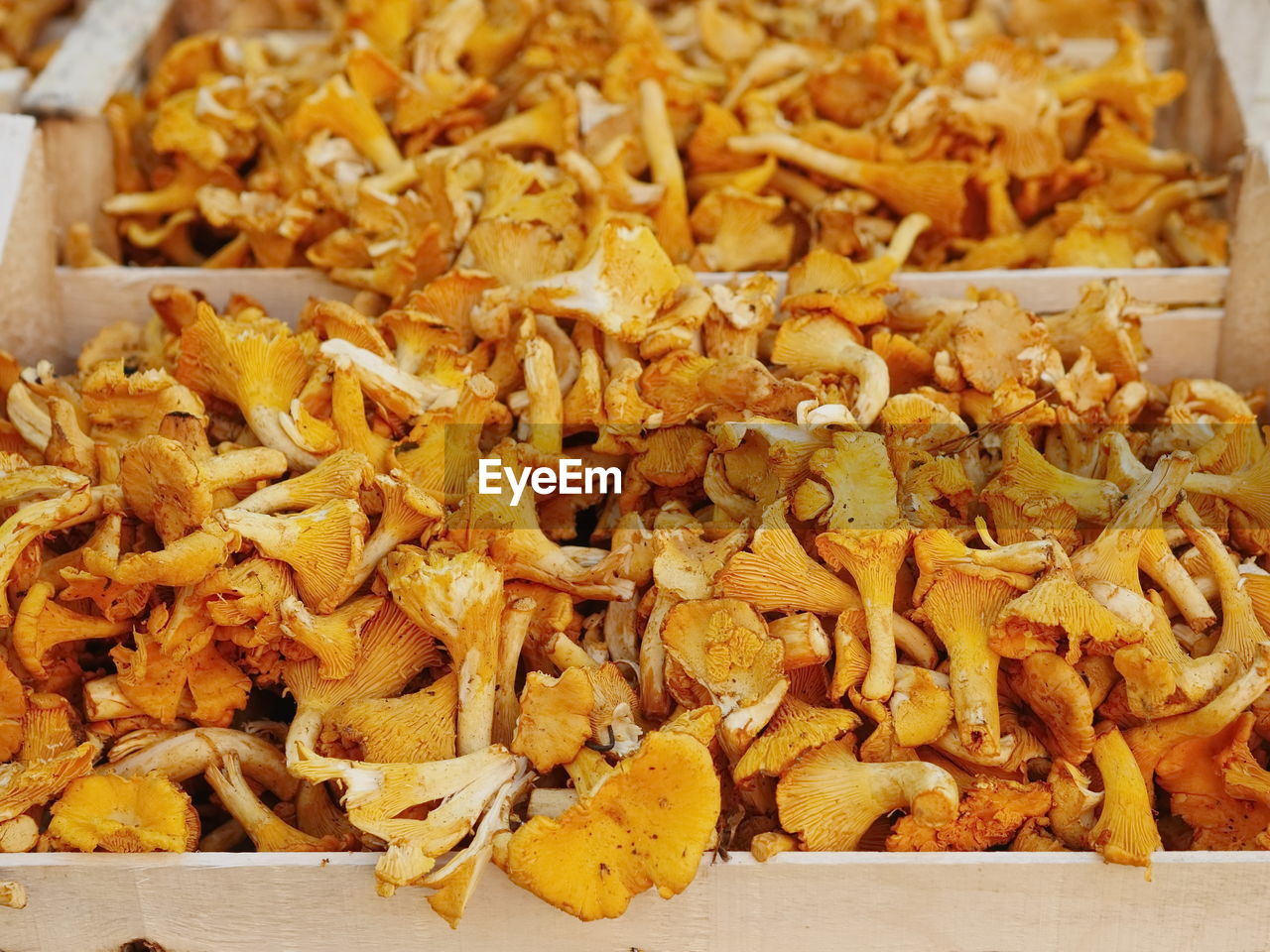 High angle view of chanterelles for sale at market stall