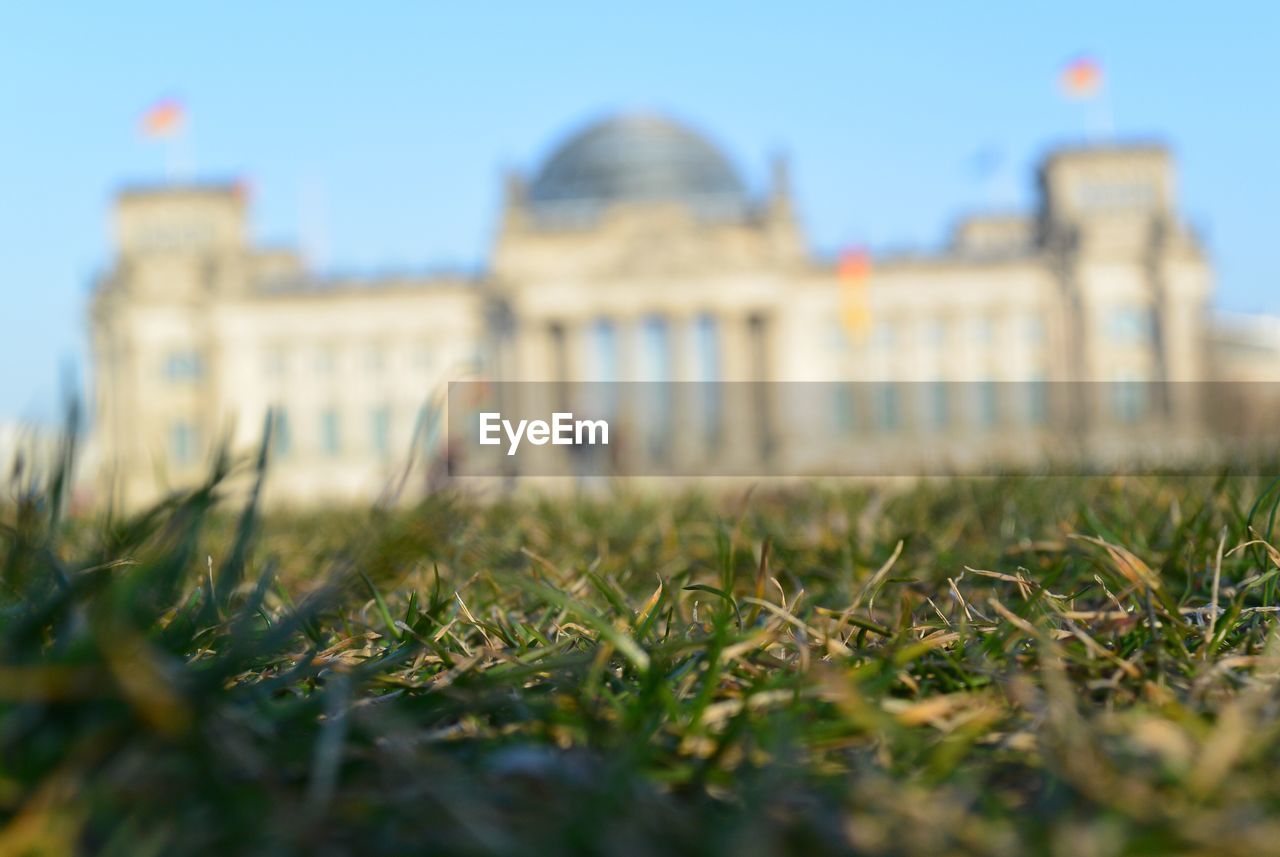 Surface level of grass with reichstag building in background