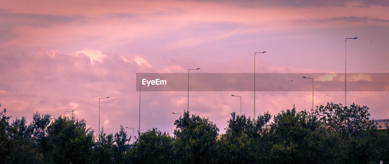 SCENIC VIEW OF SILHOUETTE TREES AGAINST SKY