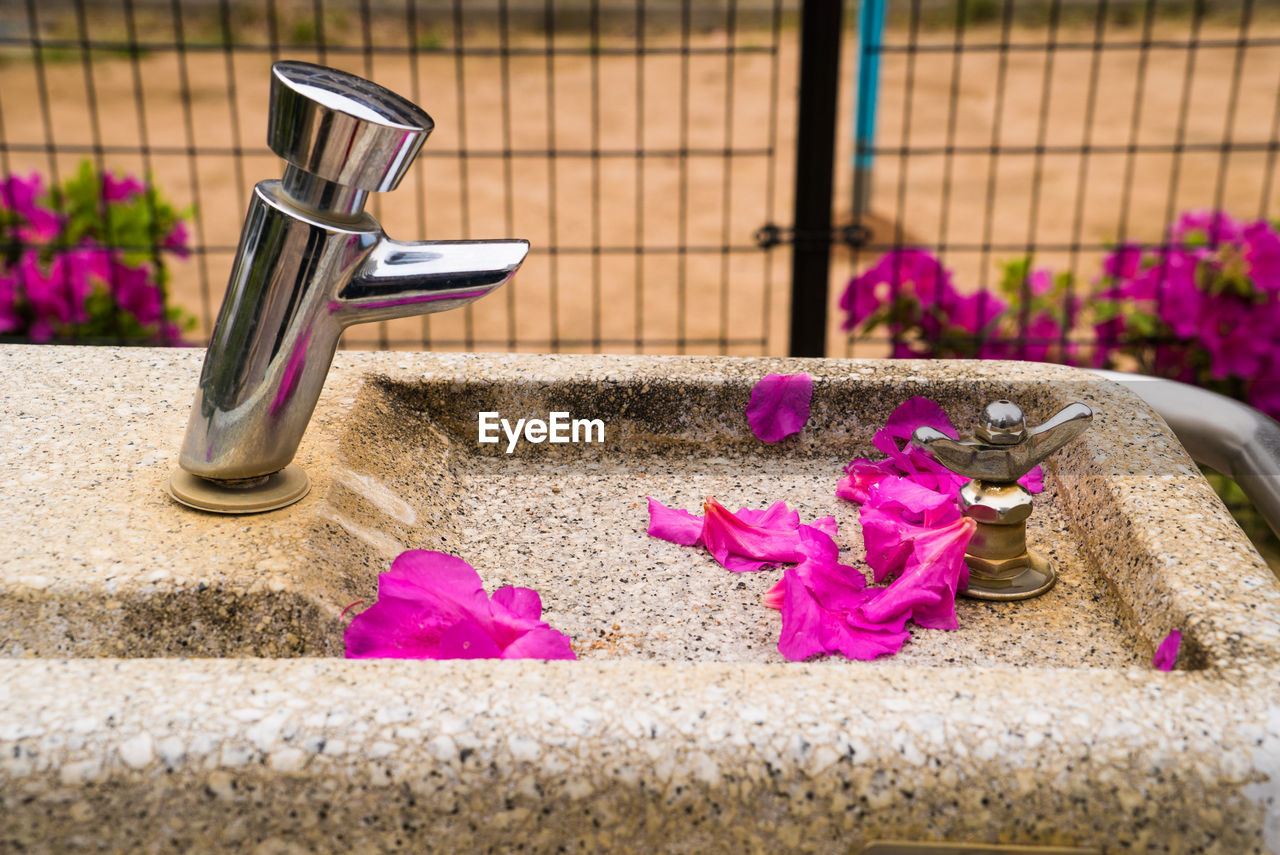 CLOSE-UP OF PINK AND PURPLE FLOWER ON METAL