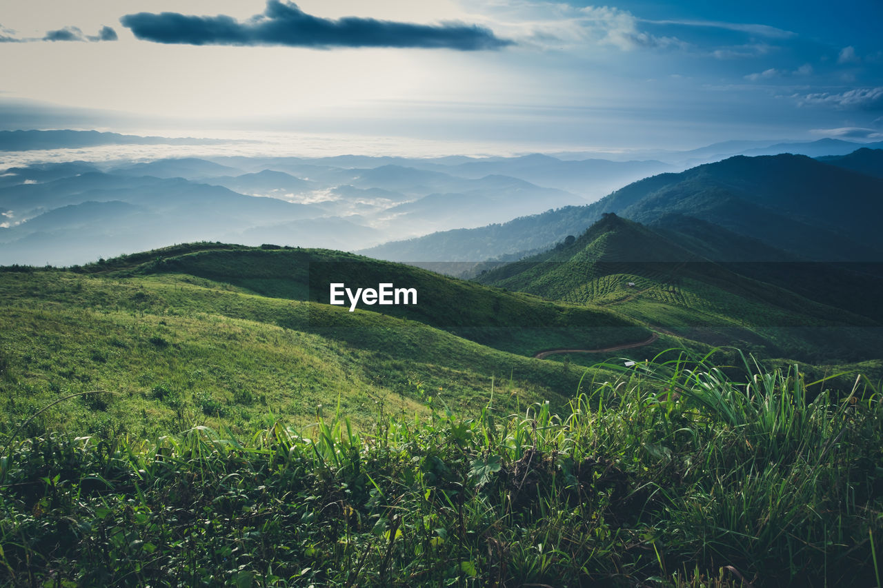 Scenic view of landscape against sky