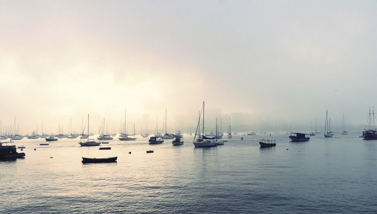 Sailboats moored in harbor against sky