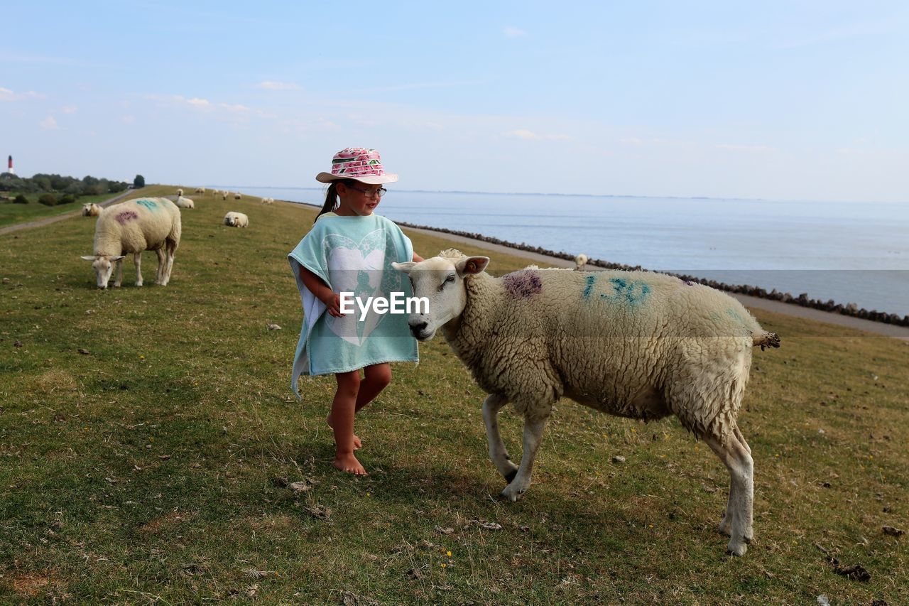 Girl and sheep on field against sky