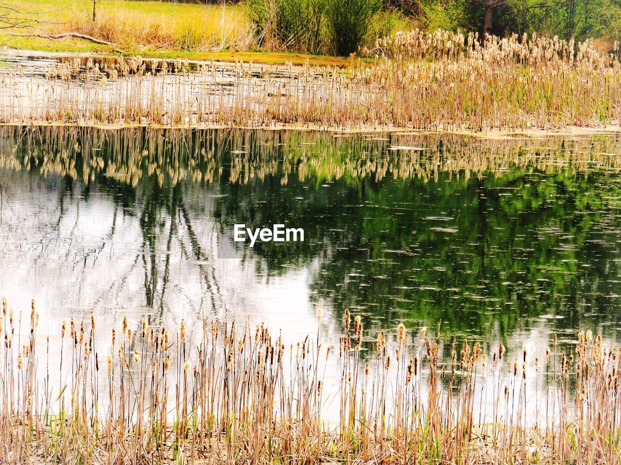 Scenic view of lake