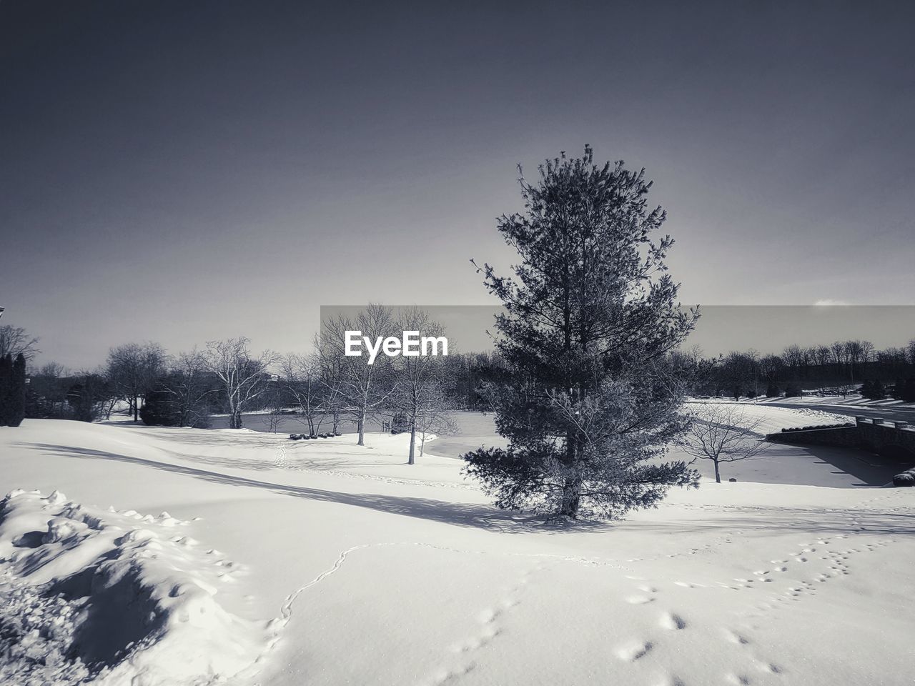 SNOW COVERED FIELD AGAINST SKY DURING WINTER