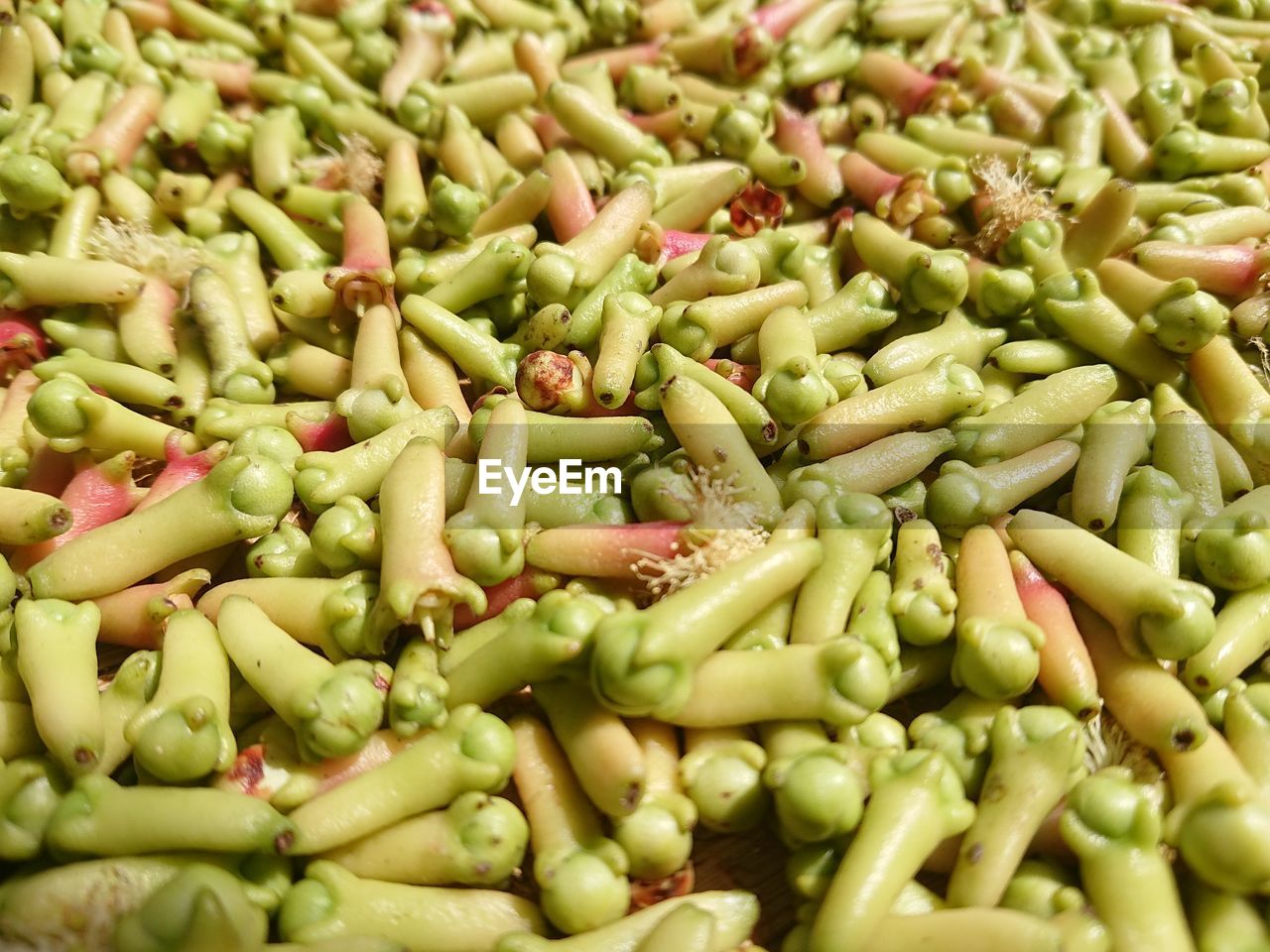 FULL FRAME SHOT OF GREEN VEGETABLES