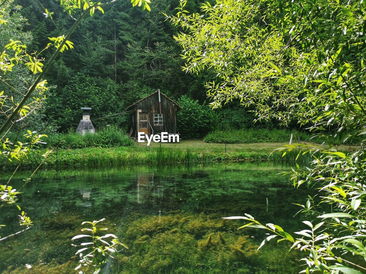 SCENIC VIEW OF LAKE AGAINST TREES