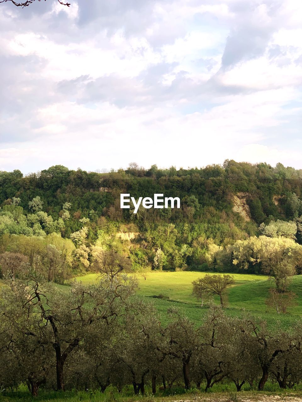 SCENIC VIEW OF FARM AGAINST SKY