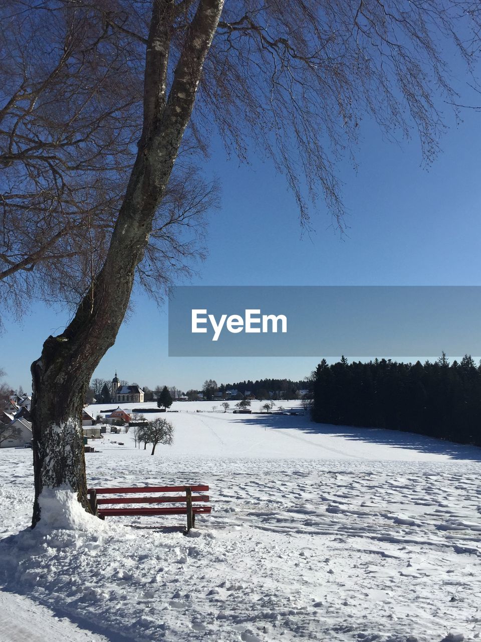 TREES ON SNOW COVERED PARK AGAINST SKY